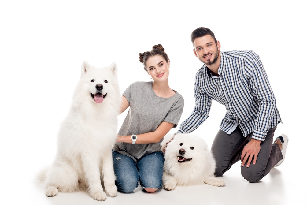 Trusted wellington house sitter